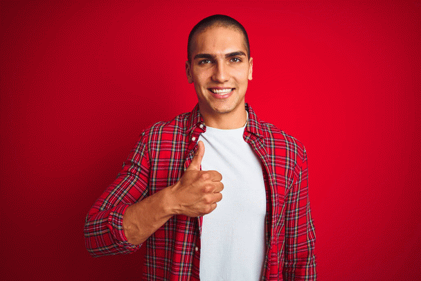 گربه‌های DSH: 14 نکته درباره این نژاد محبوب